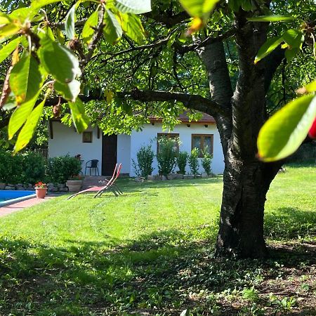 Buzavirag Apartman Szentbekkalla Exterior foto